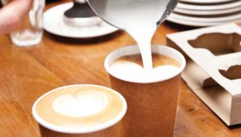 A New Line of Cups & Lids